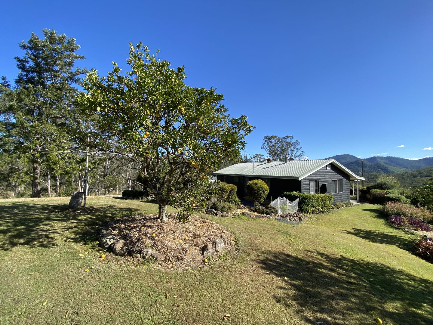 2898 Nowendoc Road, Caffreys Flat Property History & Address Research
