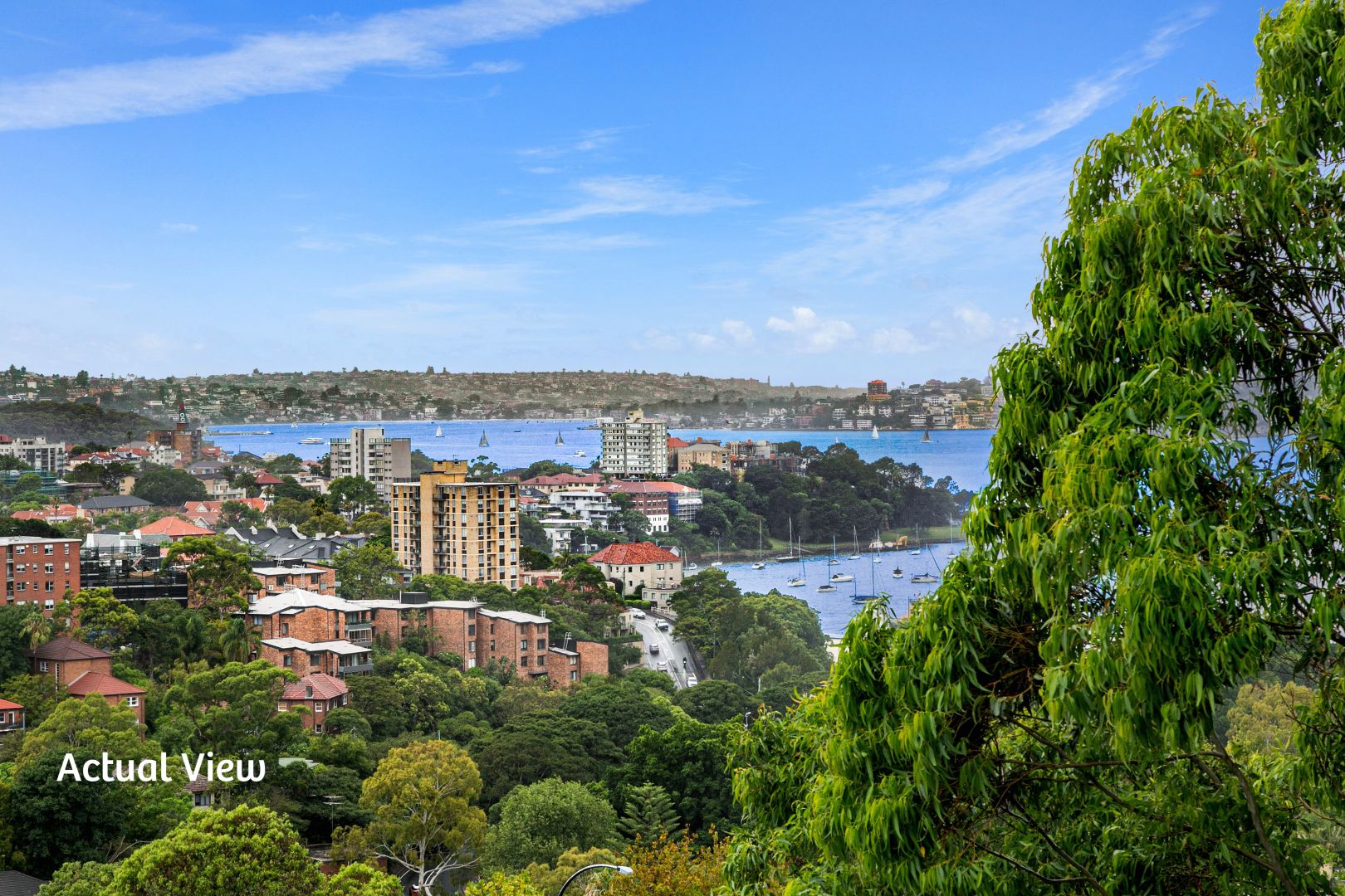 505/88 Berry Street, North Sydney NSW 2060, Image 1