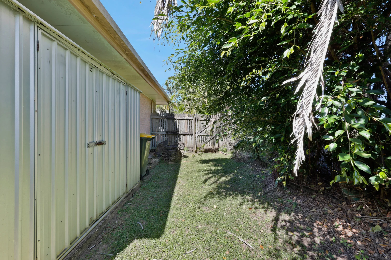 Image 12