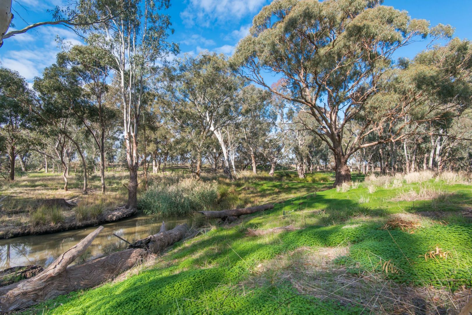 25 Castle Drive, Arcadia VIC 3631, Image 1