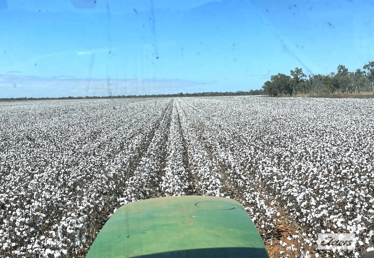 Additional image 5 of 2170 Edith Farms Road, Katherine NT 0850