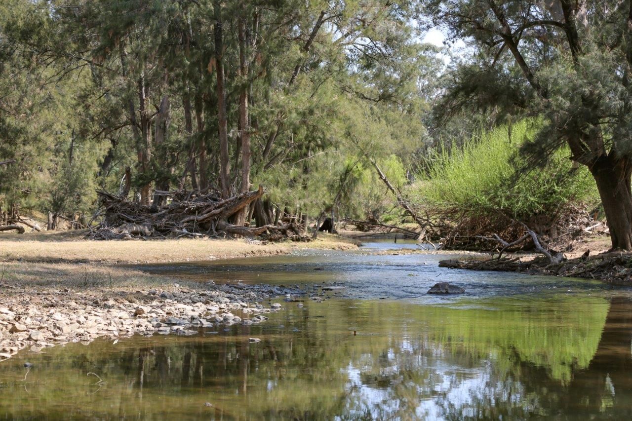 Goolma NSW 2852, Image 2