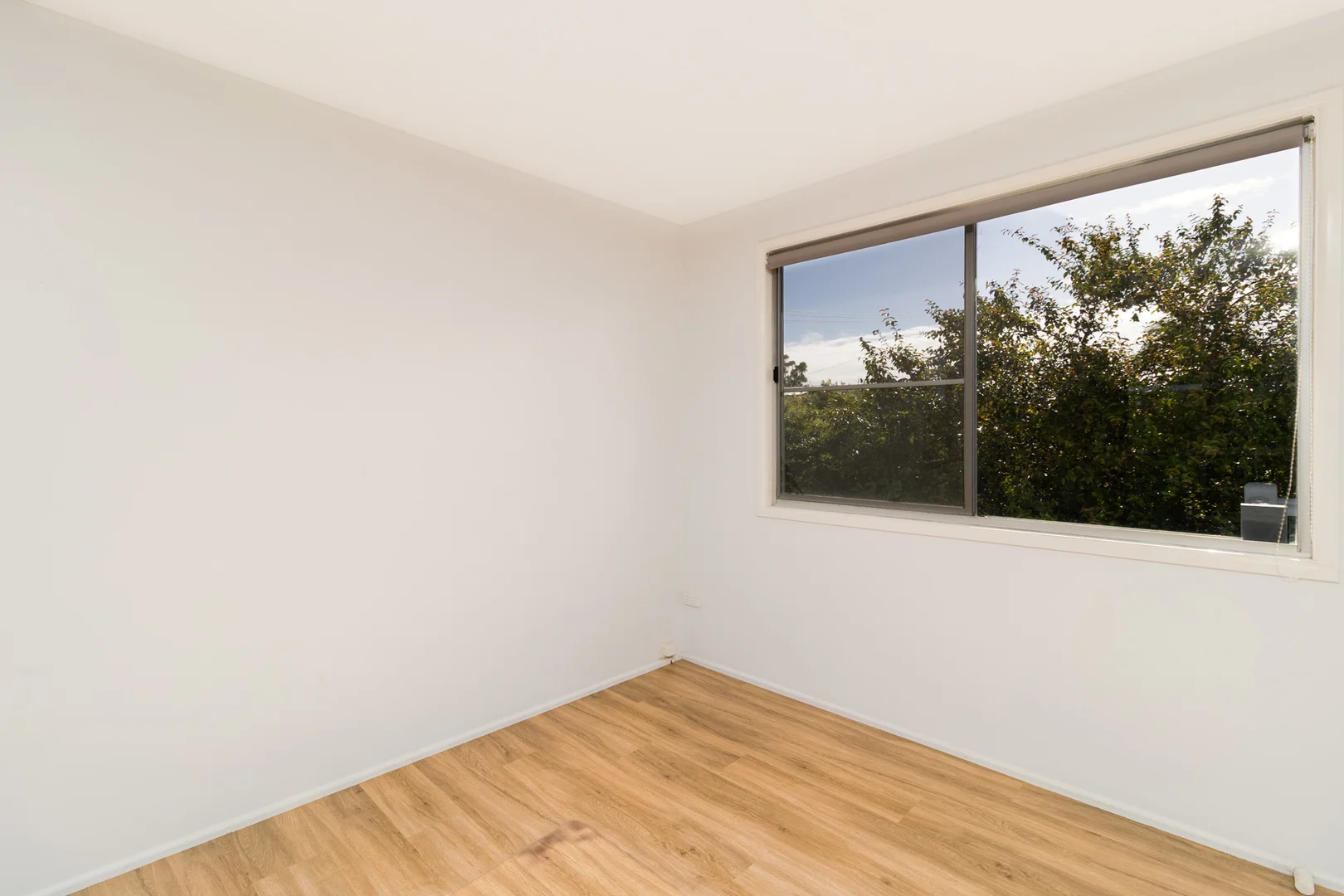 Additional image 8 of 1 Azalea Court, Tinana QLD 4650