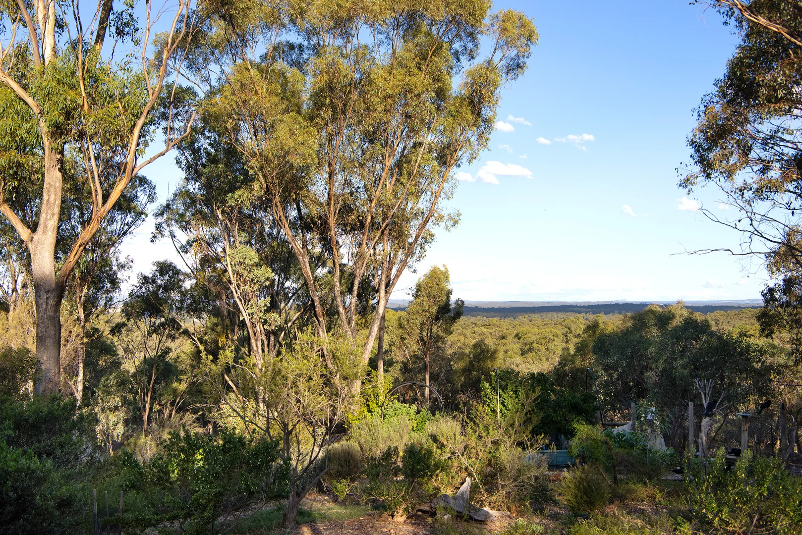 Image 22