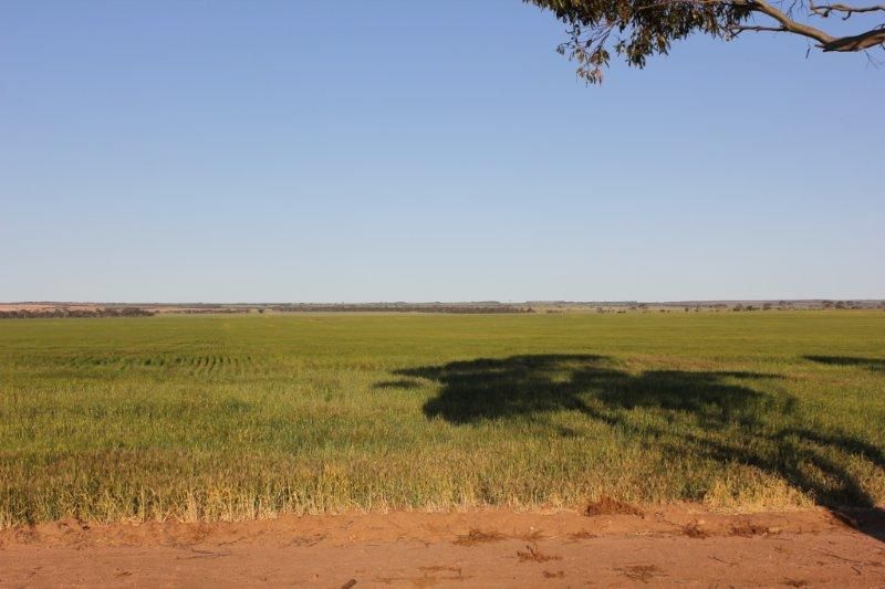 Lot 13976 Chandler Merredin Road, Goomarin WA 6415, Image 2