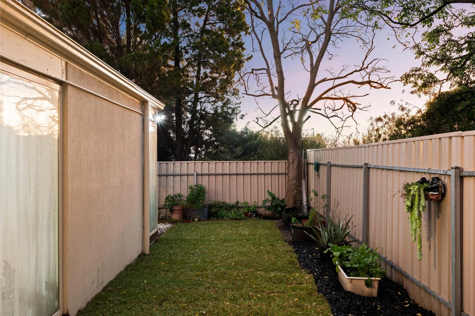 Image 19