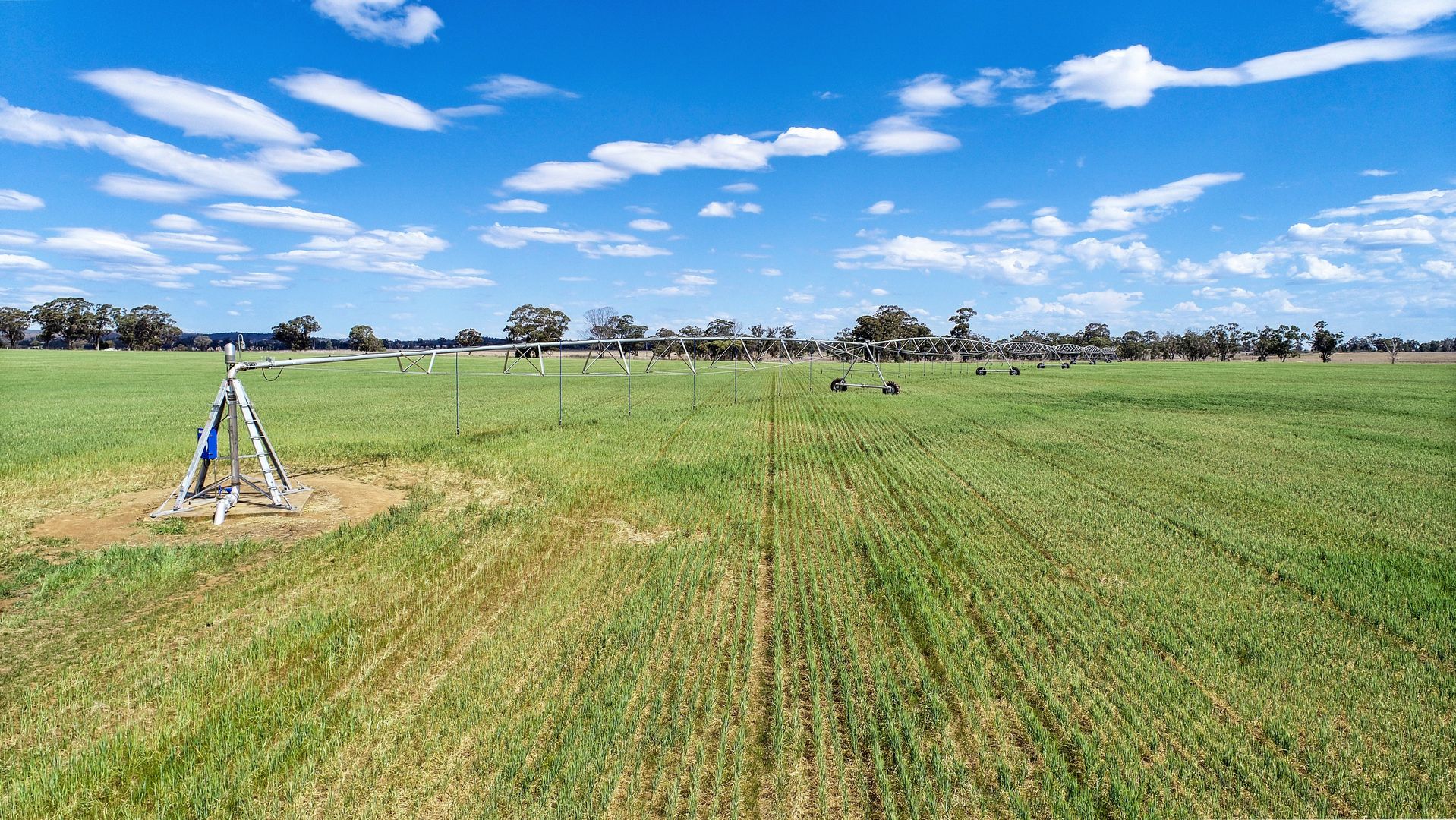 'Glen Ayr' 2696 Mitchell Highway, Narromine NSW 2821 Farm for Sale