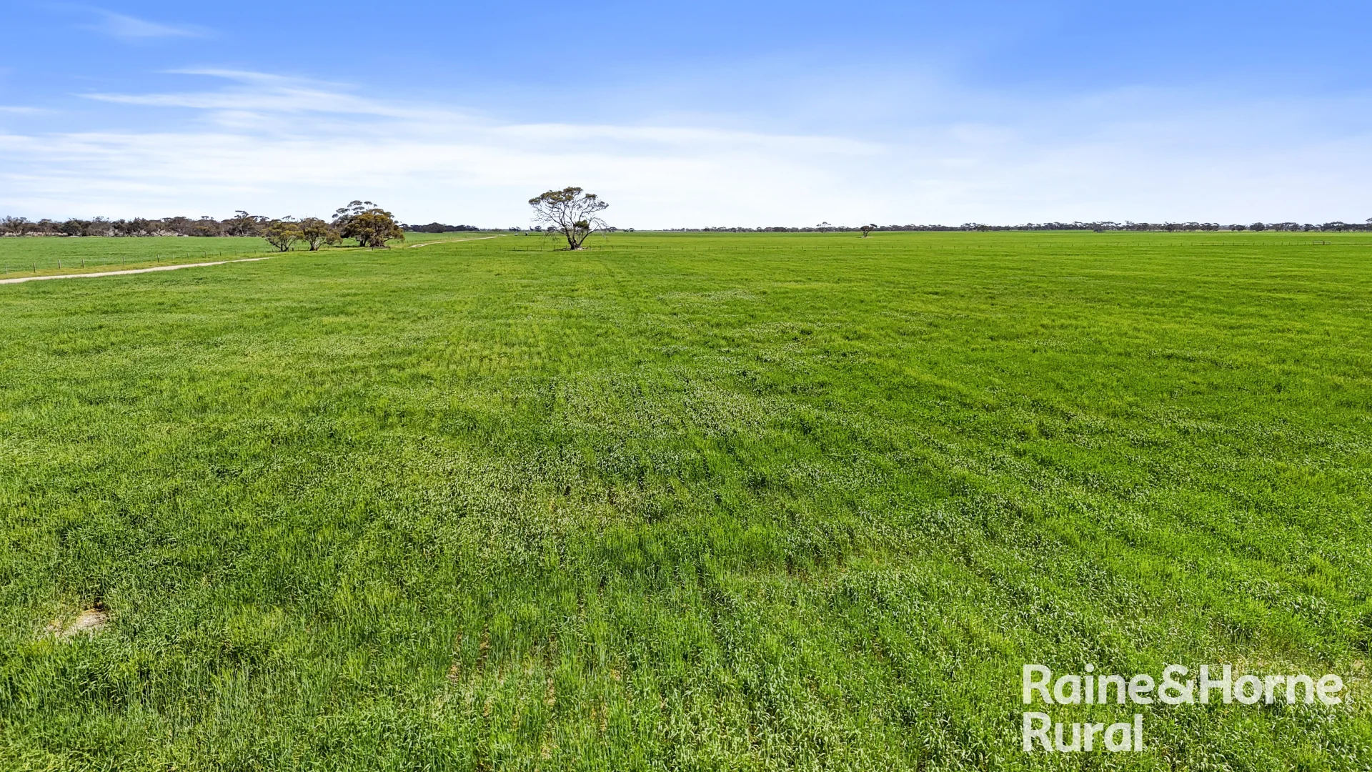 Additional image 6 of 714 Buccleuch South Road, Yumali SA 5261