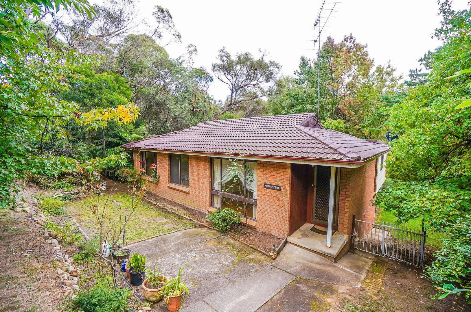 41 Loftus Street, Lawson NSW 2783, Image 0