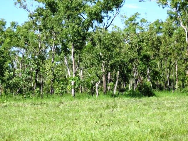 Image 8