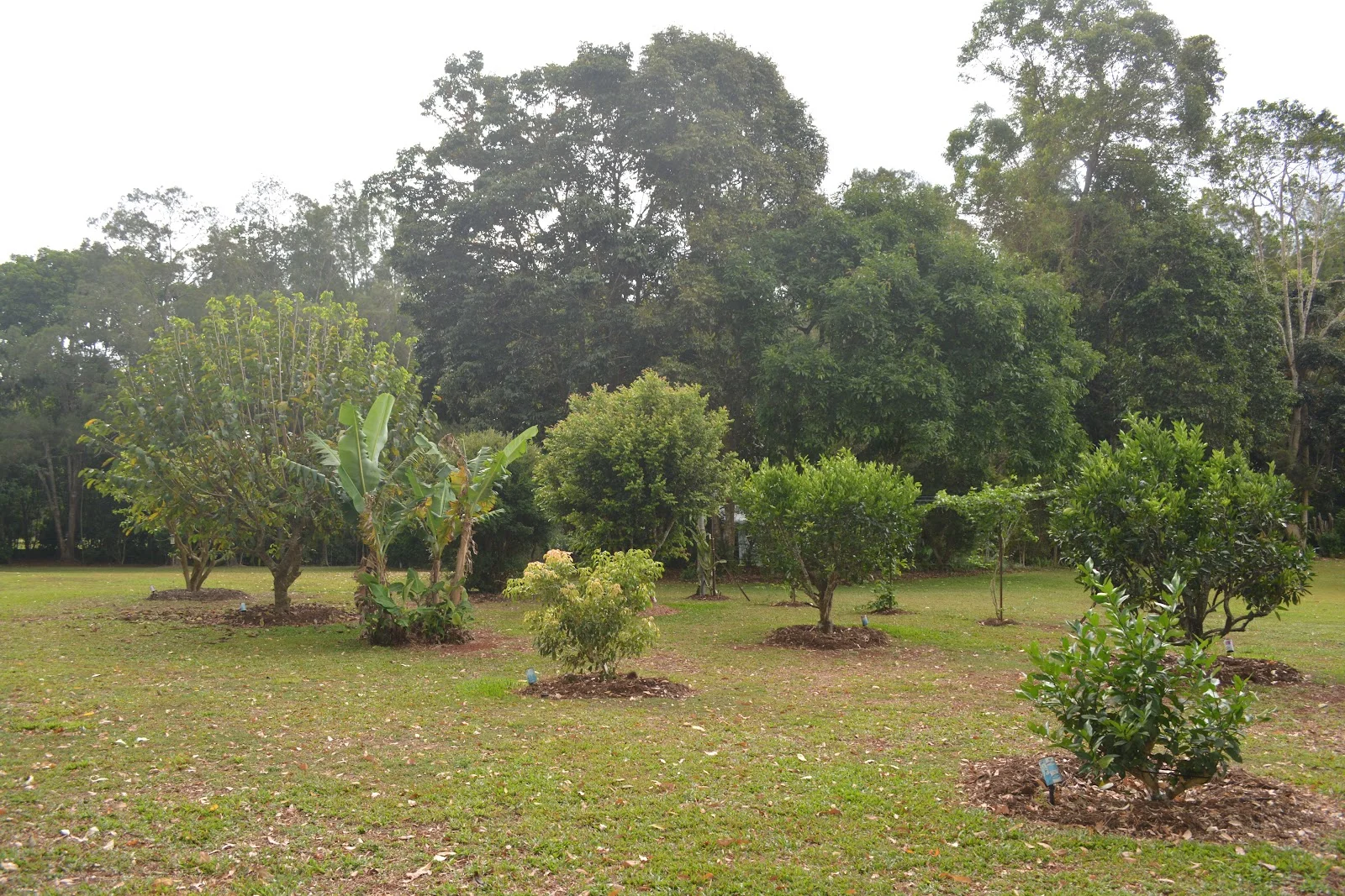 Image 33