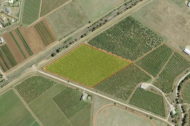 Picture of Part Farm 75 Morley Road, YOOGALI NSW 2680