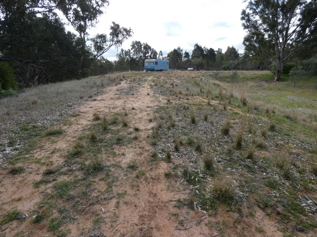 Image 10