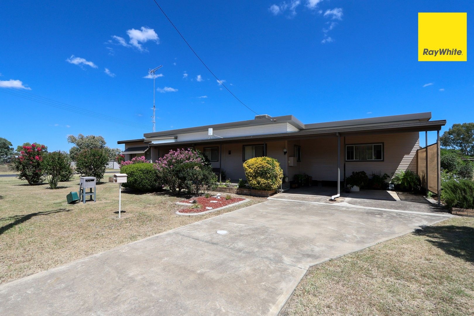 1 Albury street, Ashford NSW 2361, Image 0