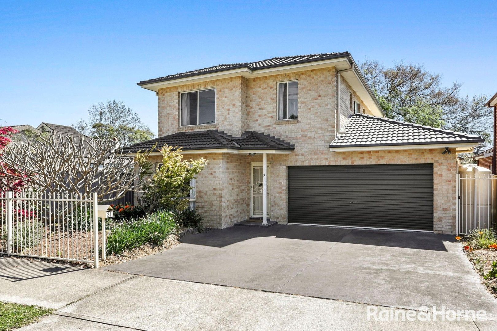 31 Barnsbury Grove, Bexley North NSW 2207, Image 0