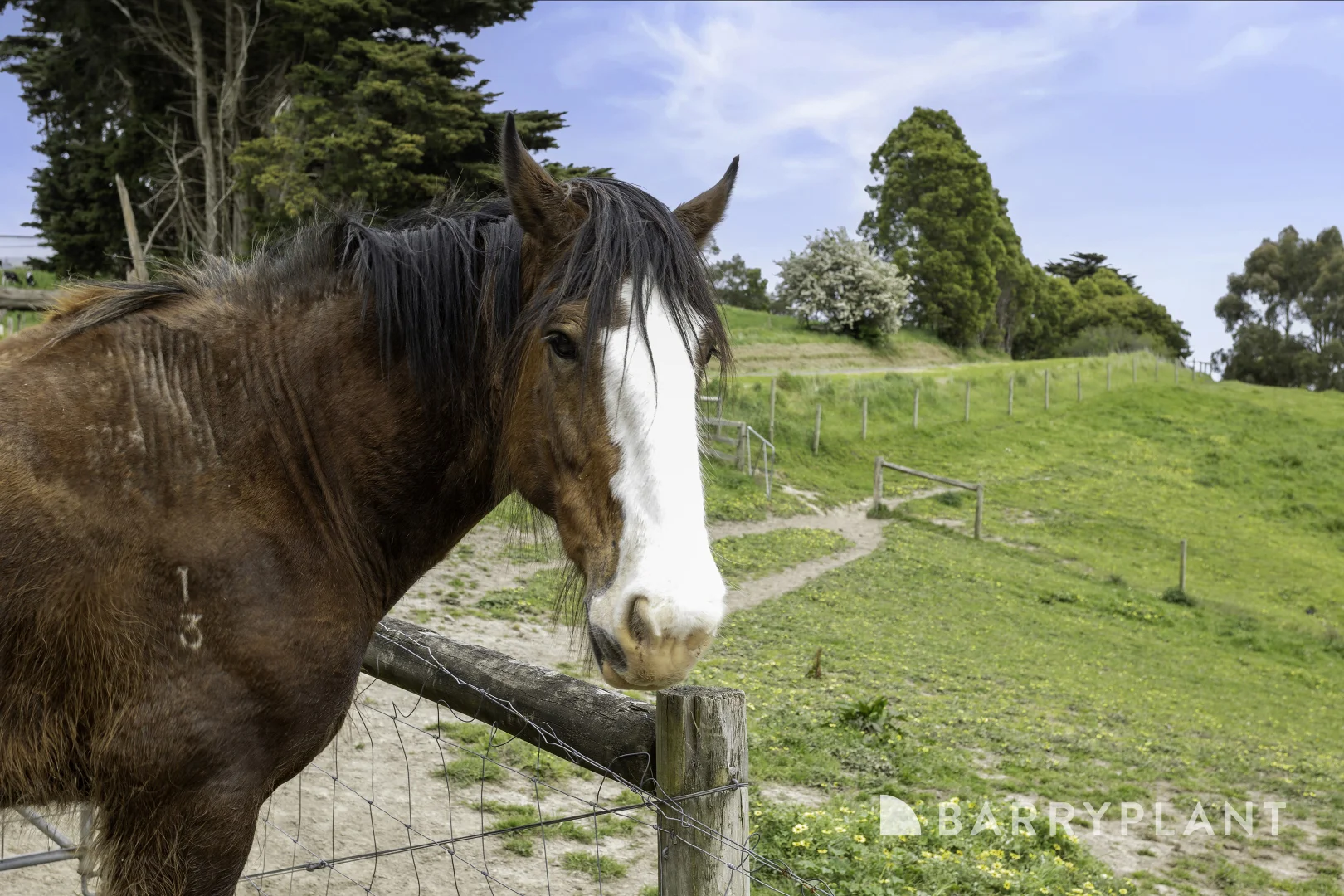 Additional image 35 of 10 Baker Road, Krowera VIC 3945