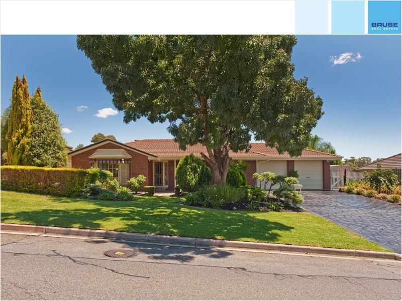 53 River Drive, Paradise SA 5075