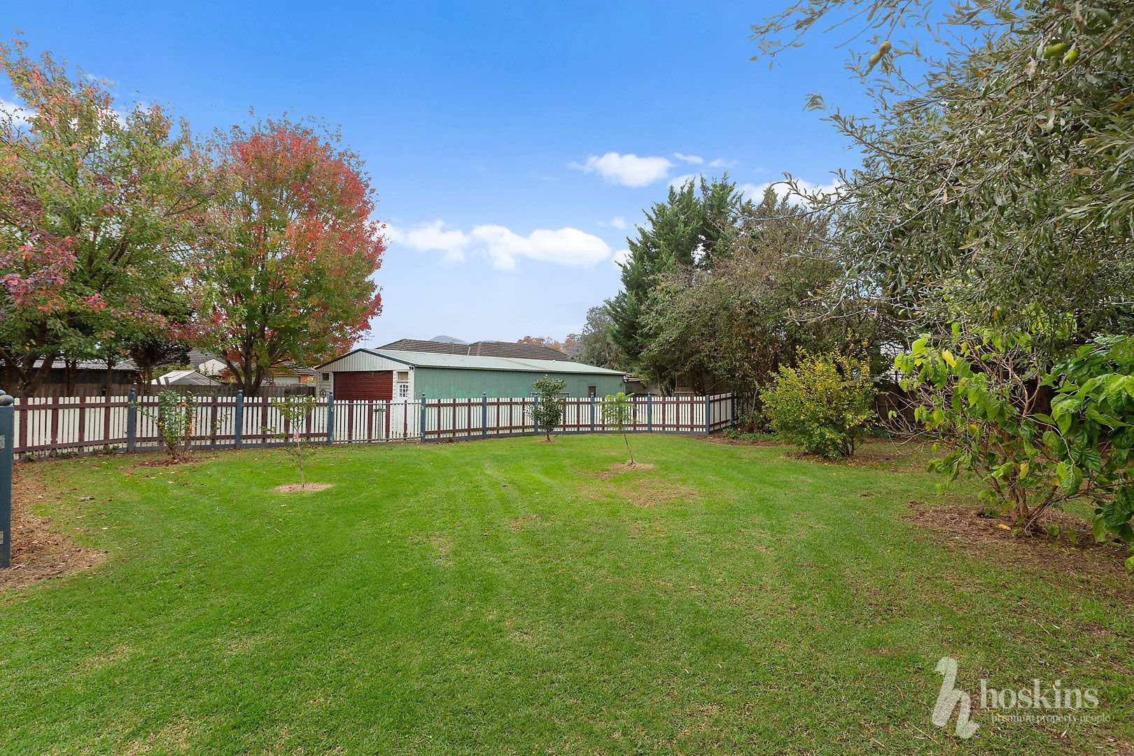 36 Smith Street, Healesville VIC 3777, Image 1