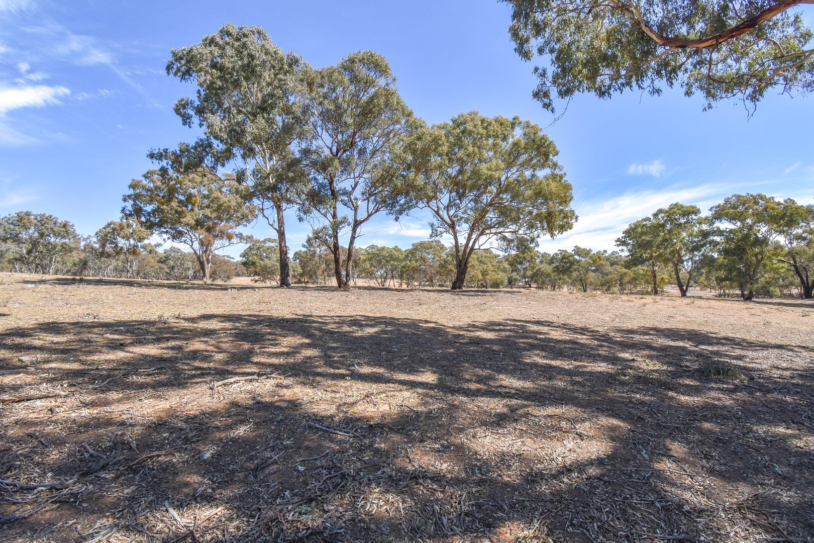 Lot 1 Plan7892 "Wattle Grove", Peel NSW 2795 Domain
