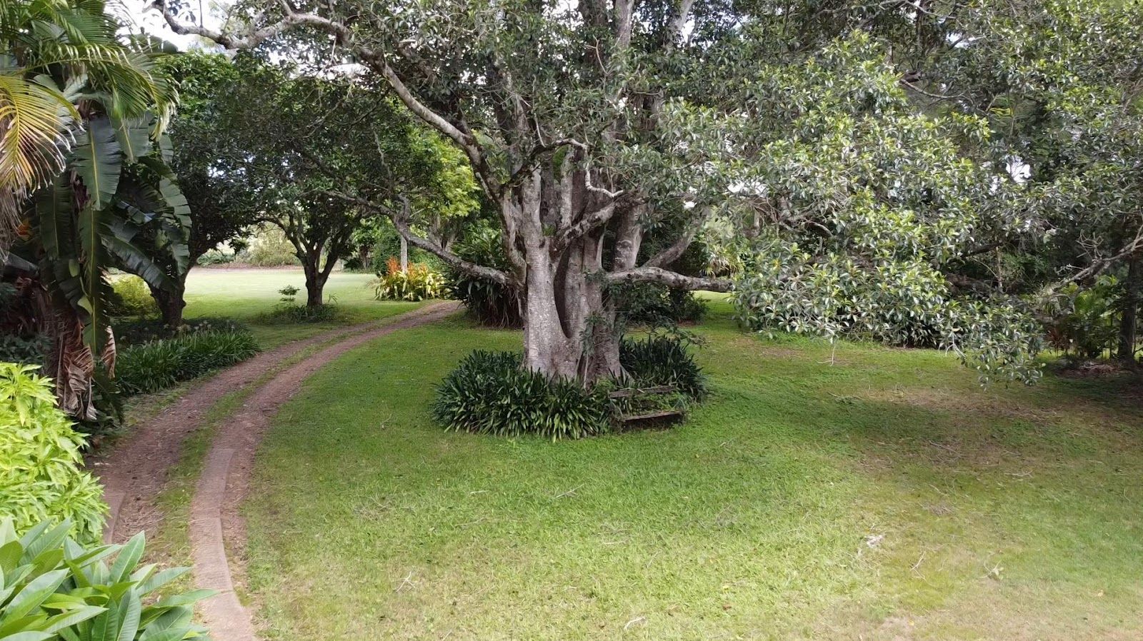 375 Afterlee Road, Horse Station Creek NSW 2474, Image 0