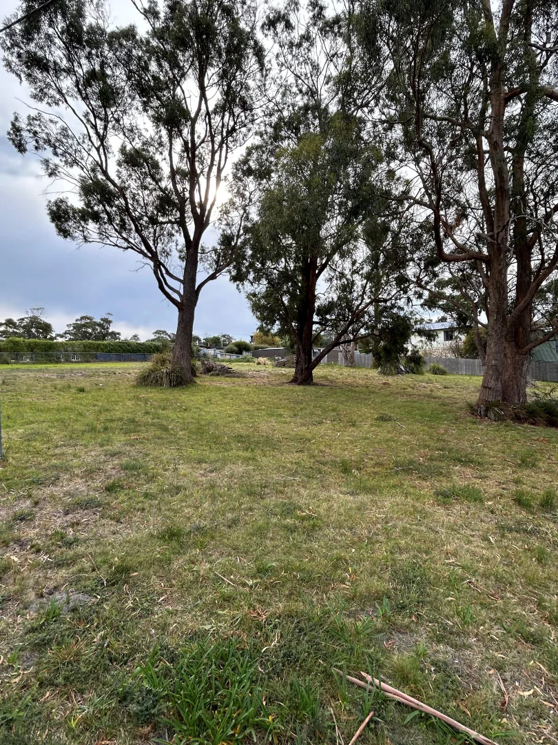 Image 9
