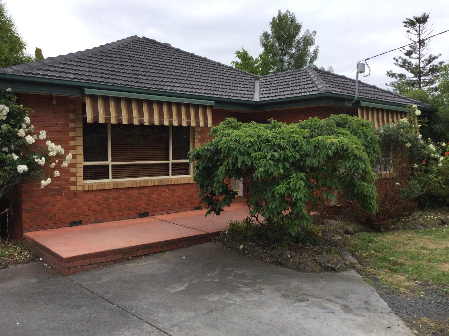 3 bedrooms Apartment / Unit / Flat in 1/15 Cynthia Court WANTIRNA SOUTH VIC, 3152