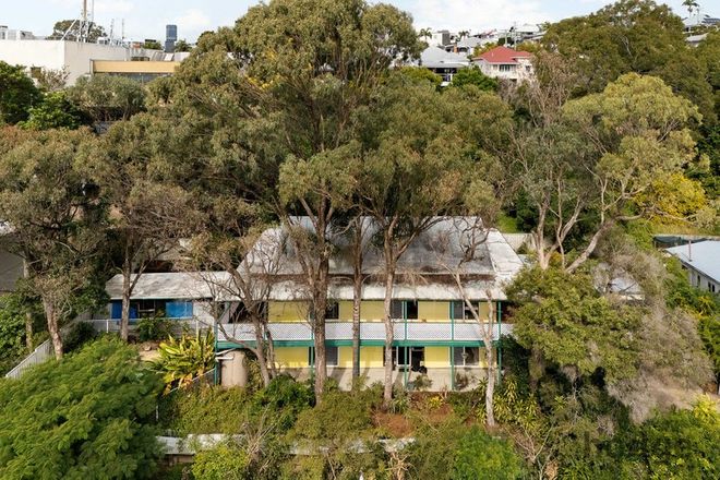 25A Broadhurst Street Kelvin Grove 4059 - Image 5