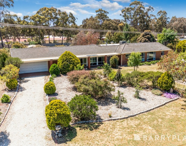 16 Forest Drive, Ascot VIC 3551