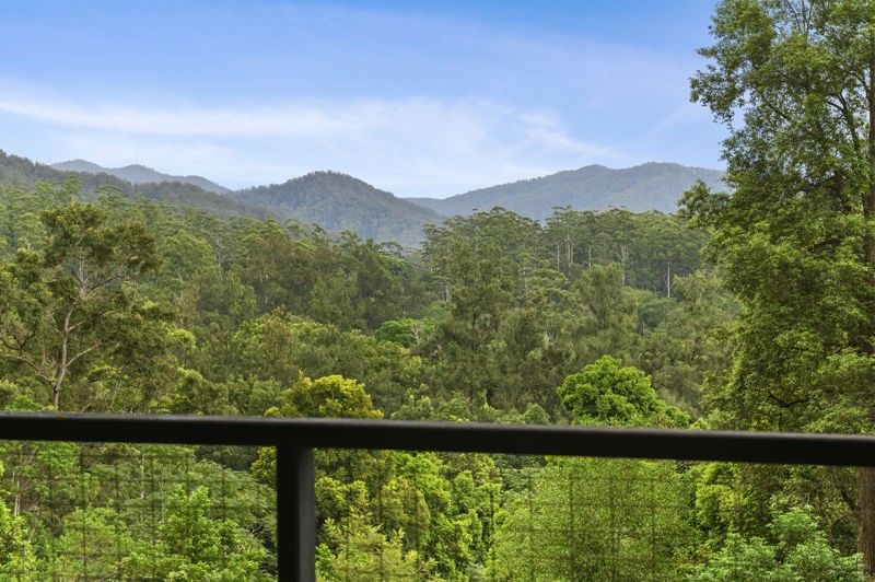 1772 Kalang Road, Bellingen NSW 2454, Image 0