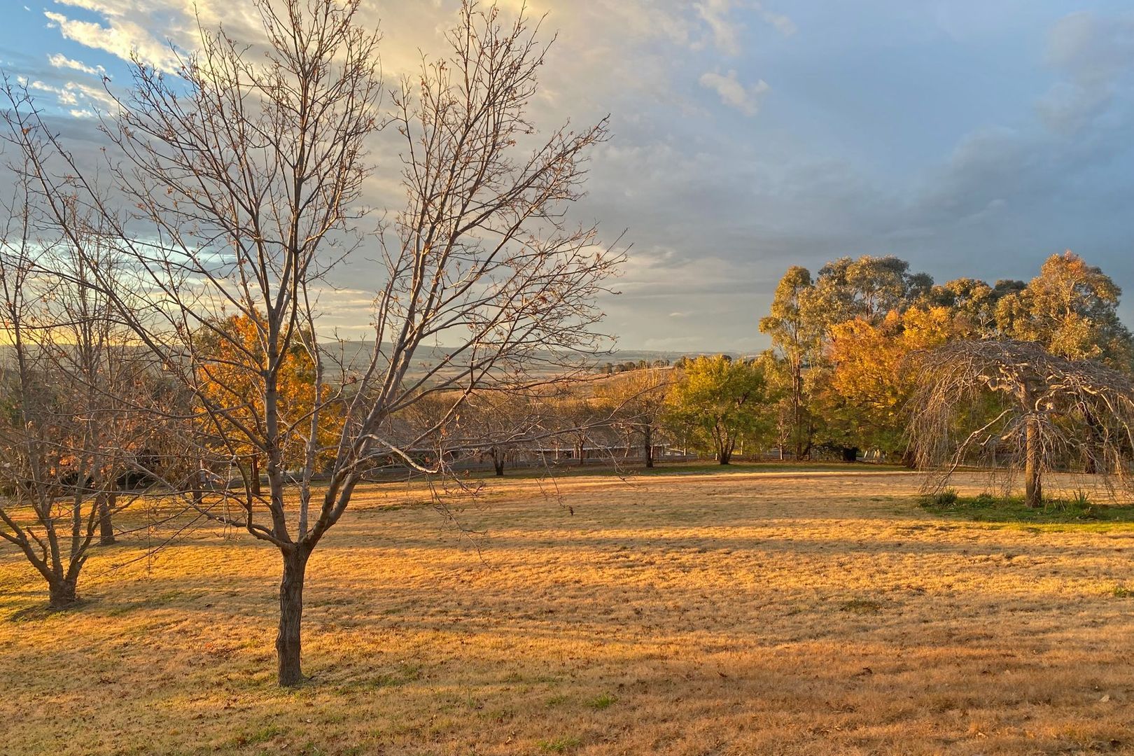 Robin Hill NSW 2795, Image 2