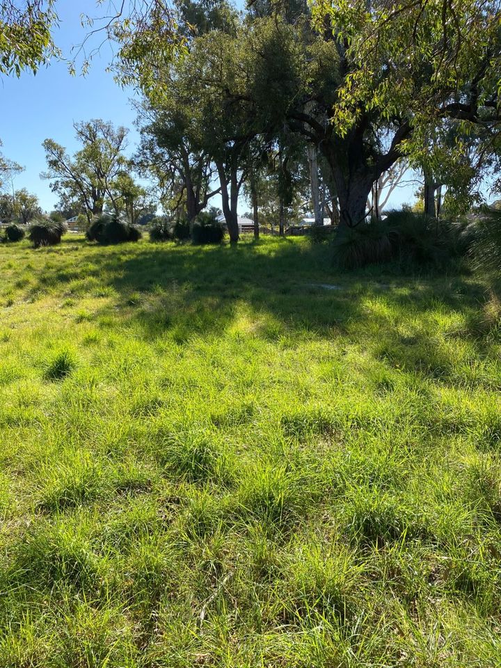 6 Bushel Road, Serpentine WA 6125, Image 2