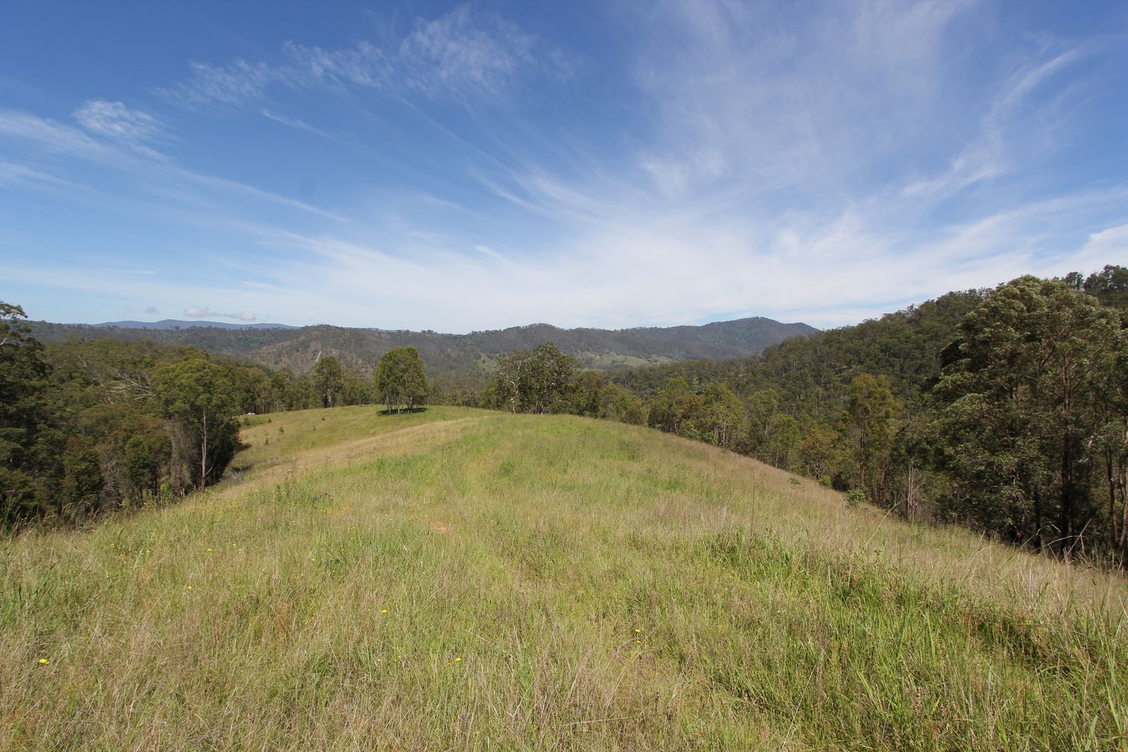 Cooplacurripa NSW 2424, Image 2