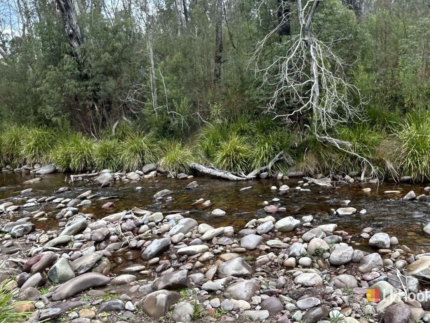 342 Murrabrine Forest Road, Cobargo NSW 2550, Image 0