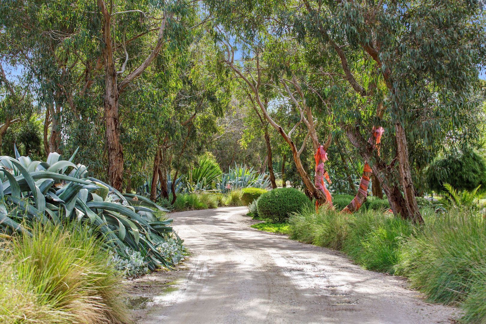 41 Barretts Road, Langwarrin South VIC 3911, Image 1