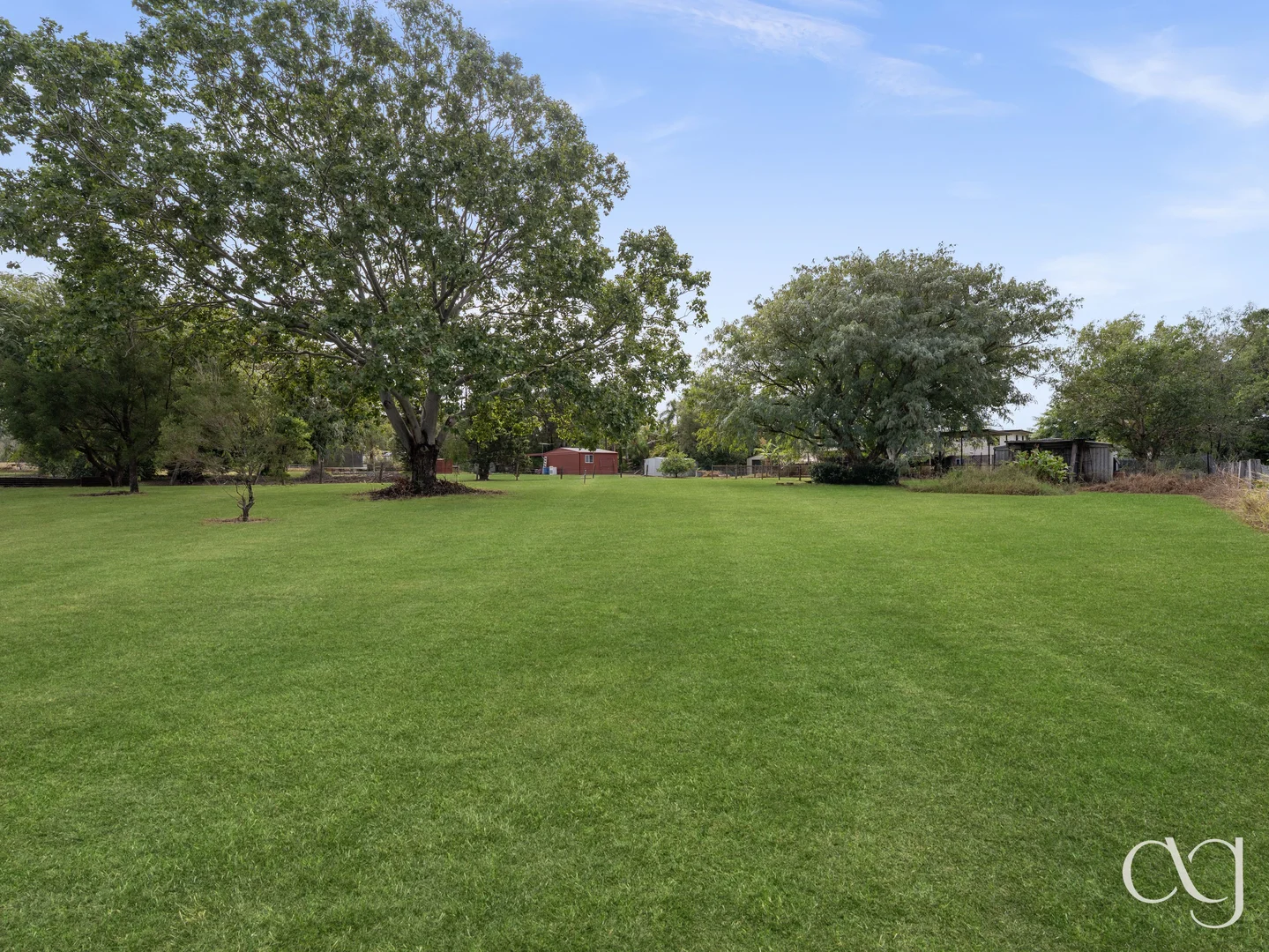 Image 31