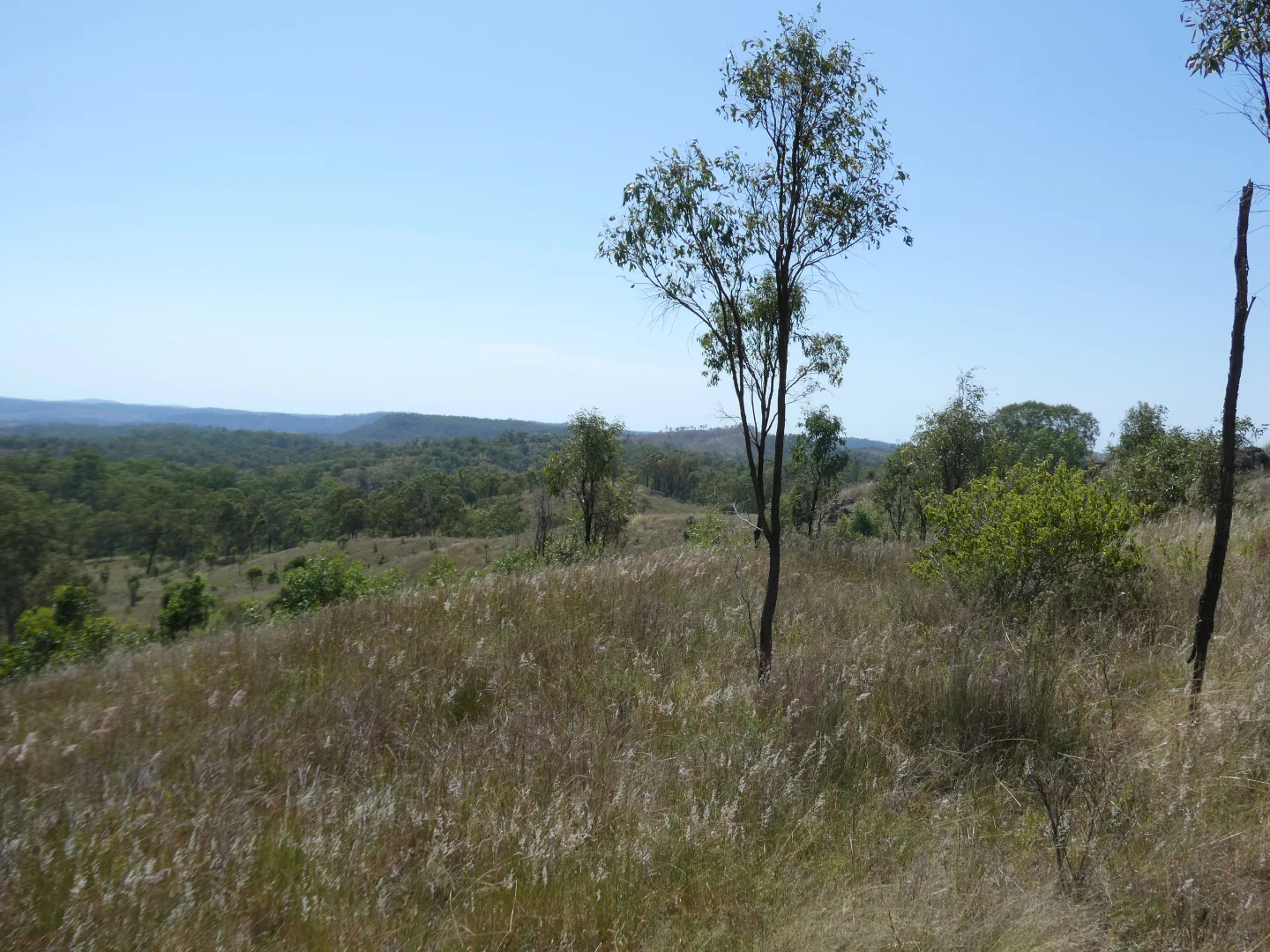 Image 15