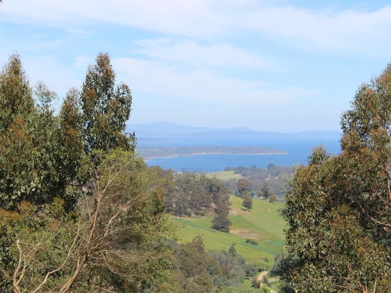 Lot 1 Hollands Road, Cygnet TAS 7112, Image 1