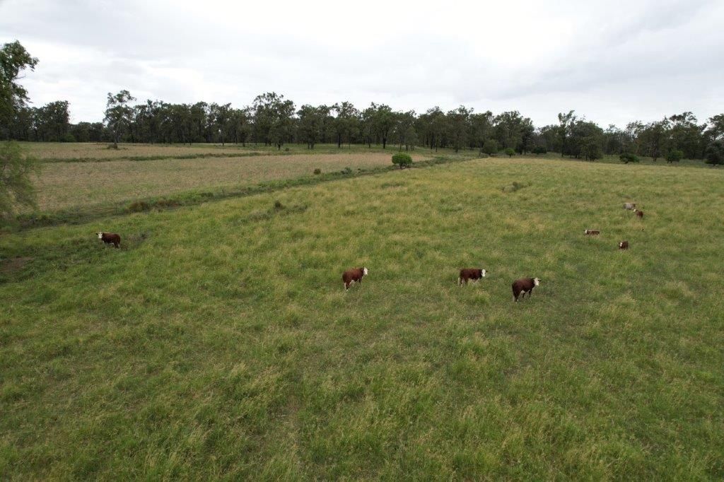 70 Acres |, Peranga QLD 4352, Image 2