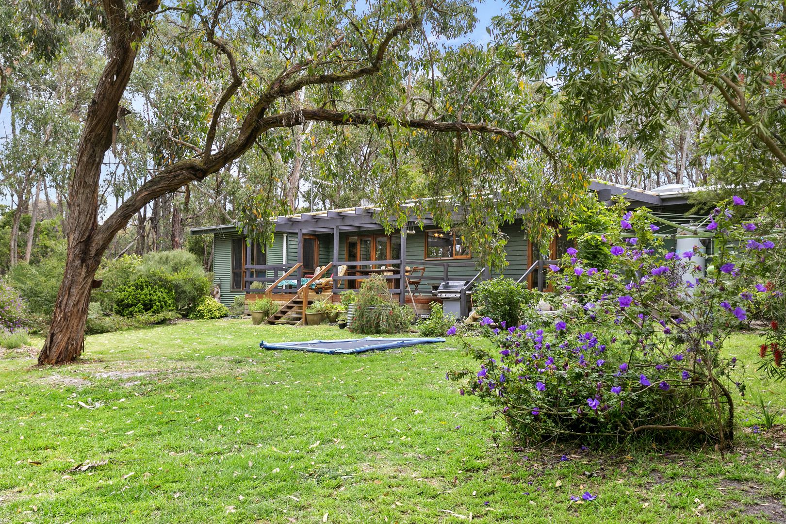 1185 Winchelsea-Deans Marsh Road, Winchelsea South VIC 3241, Image 1