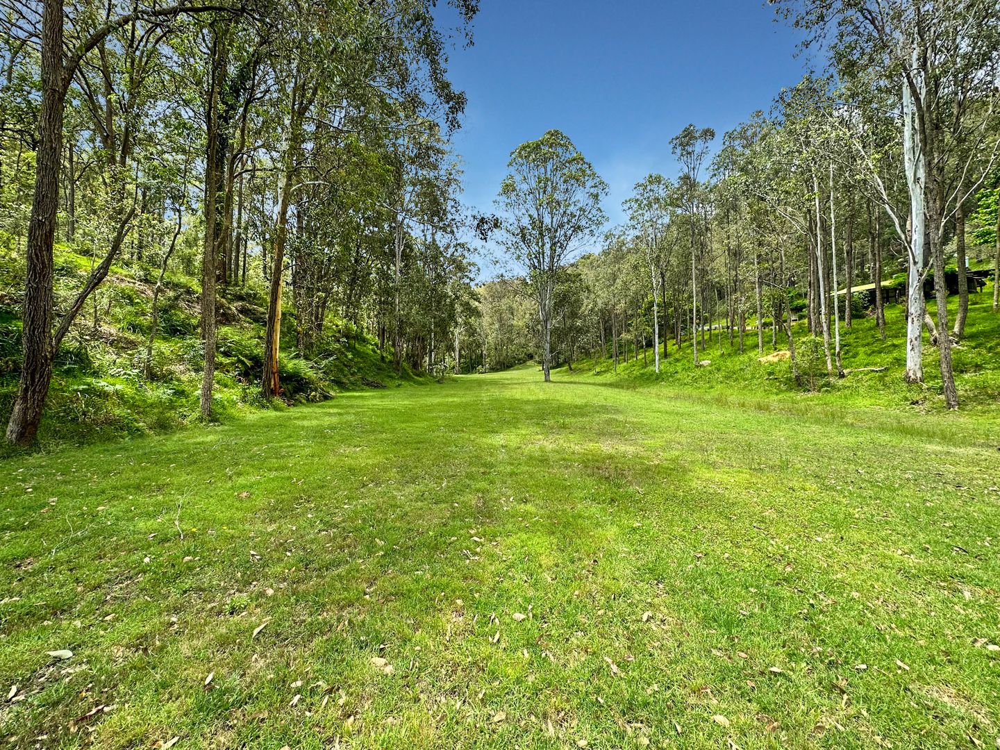 387 Murrays Run Road, Laguna NSW 2325, Image 2