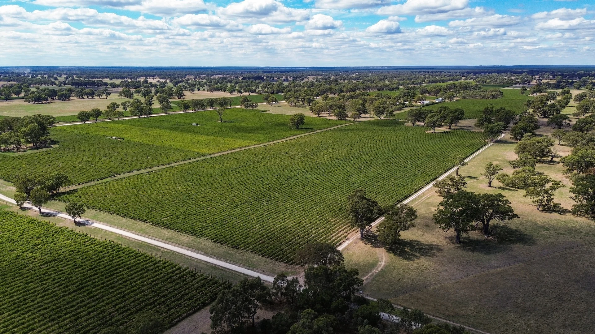 Primary image of V&A Lane, Coonawarra SA 5263