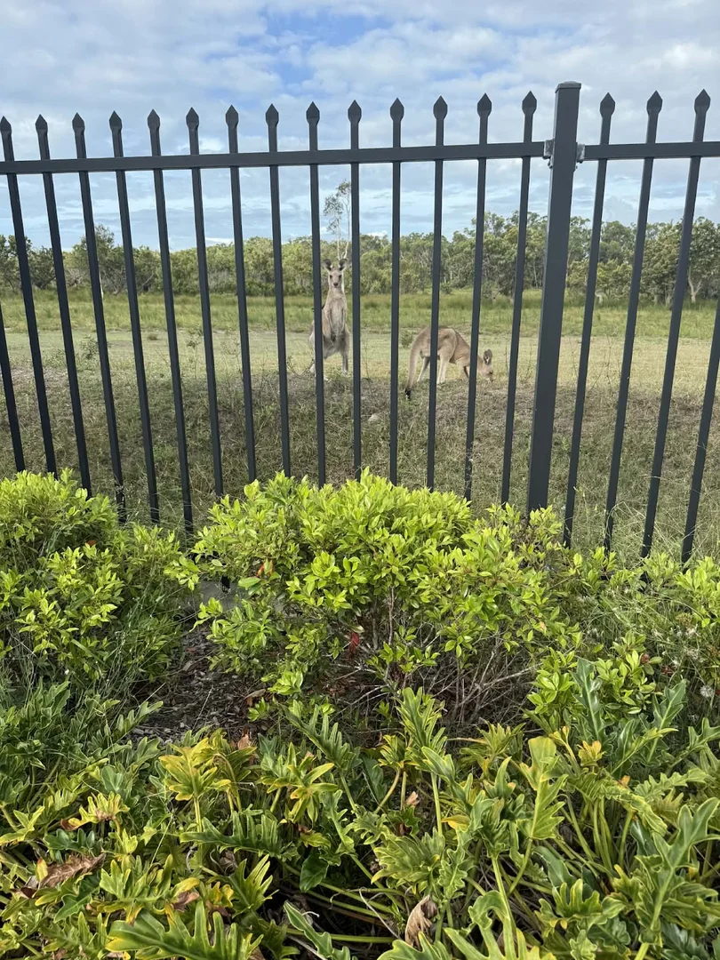 Additional image 16 of 33/9 Dux Drive, Bongaree QLD 4507