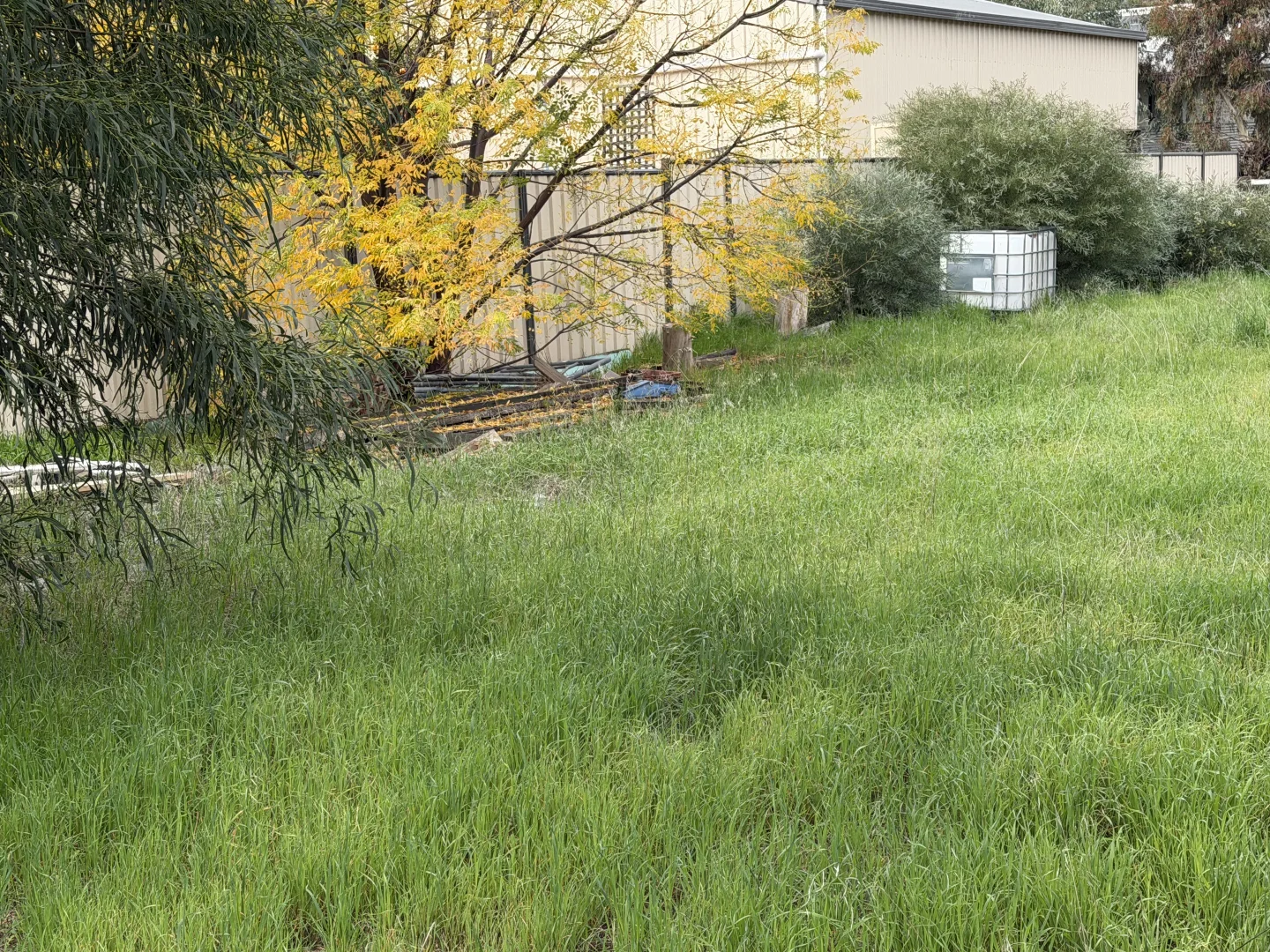Image 6