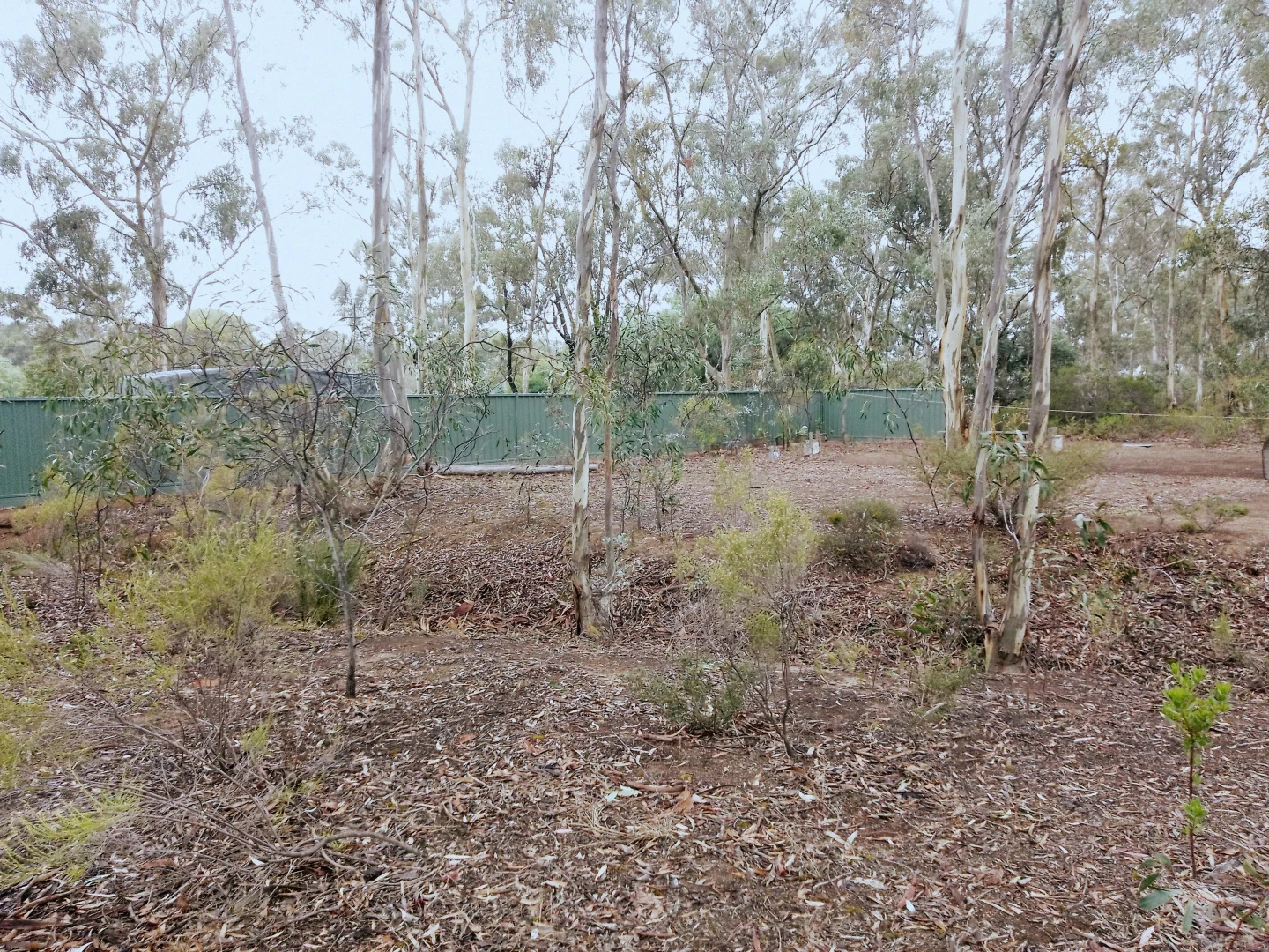 Additional image 5 of 7 Lytton Street, Tarnagulla VIC 3551