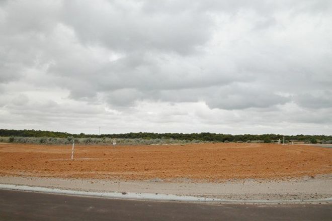 Picture of LOT 65 SALAMANCA ROAD, CERVANTES WA 6511