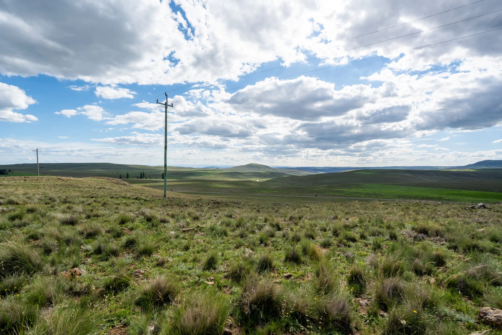 Additional image 5 of Springfield Road, Nimmitabel NSW 2631