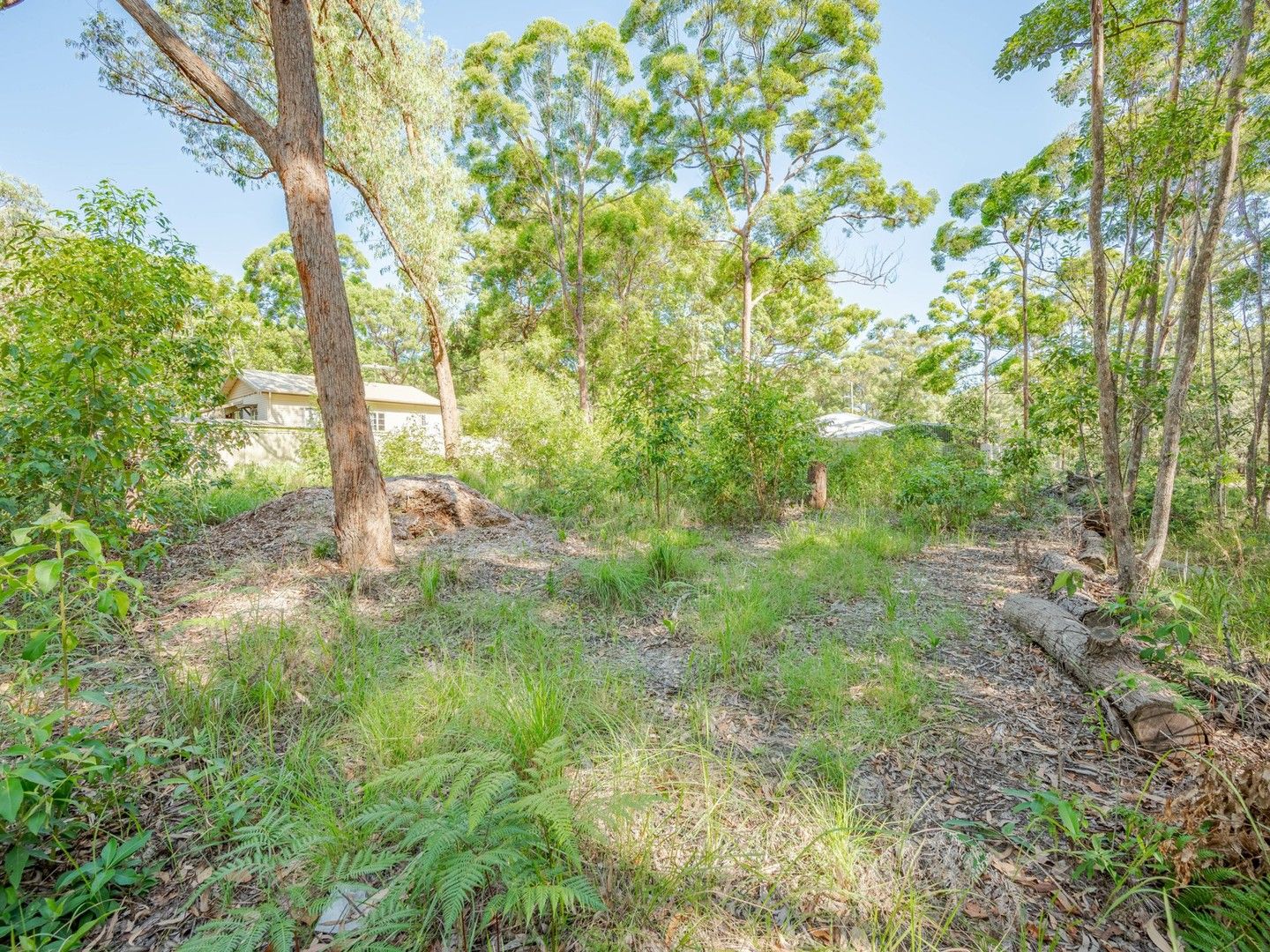 12 Cook Avenue, Russell Island QLD 4184