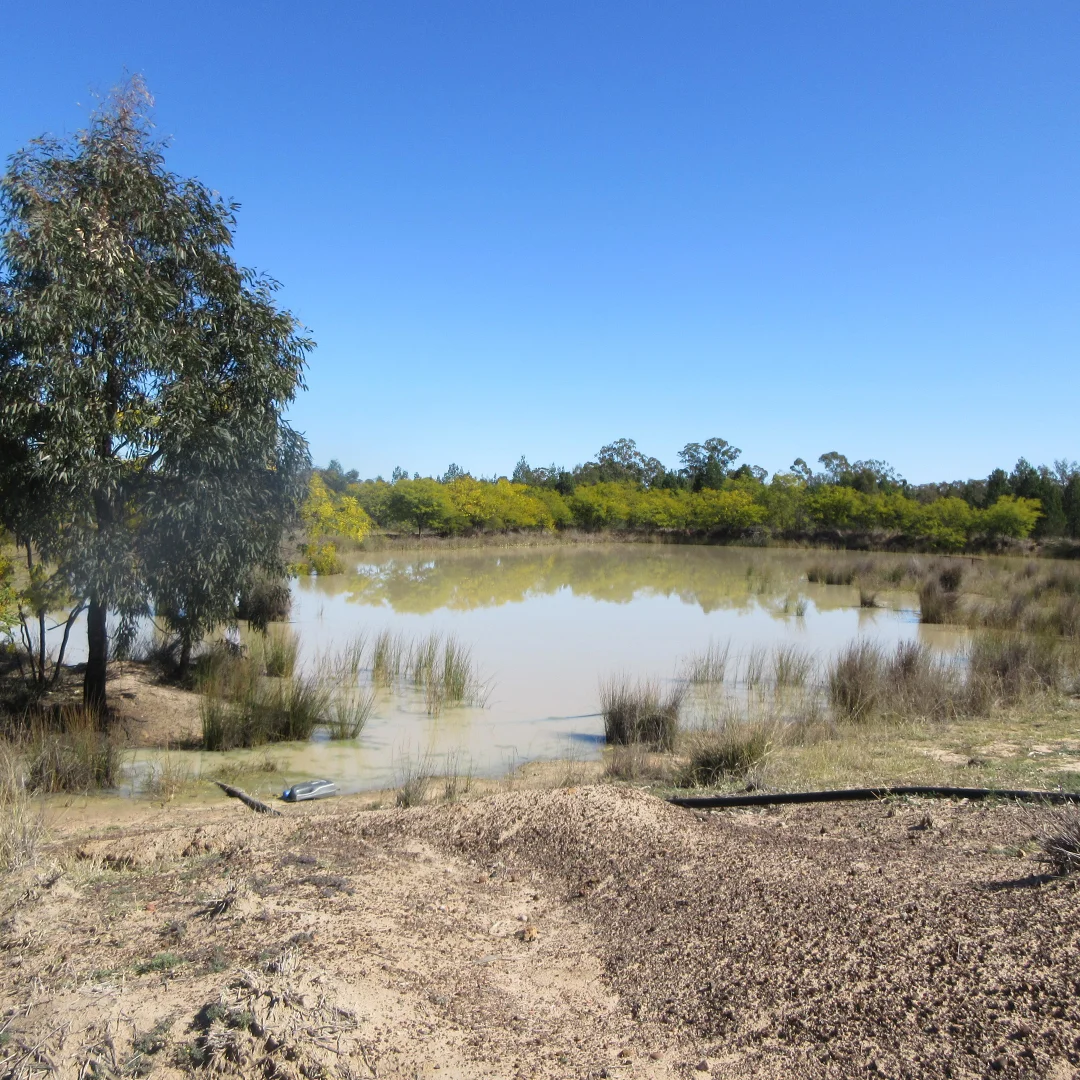 Additional image 11 of Tara QLD 4421