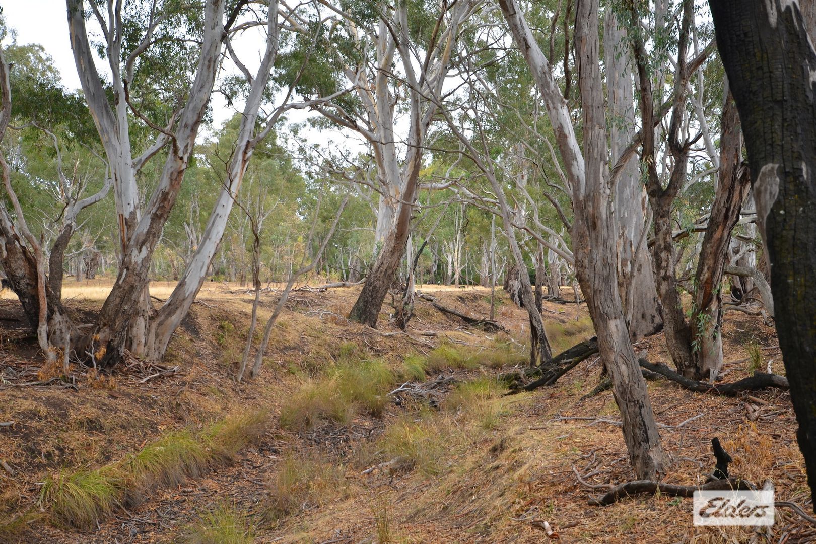 Roses Gap Road, Ledcourt VIC 3385, Image 2