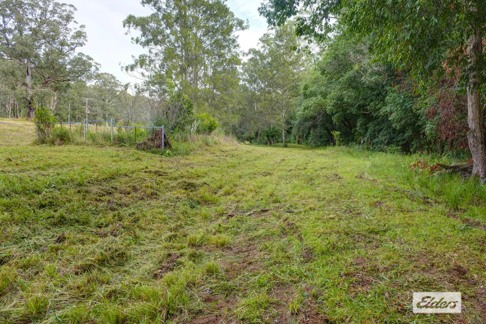 Image 13